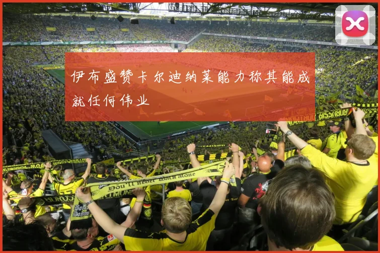伊布盛赞卡尔迪纳莱能力称其能成就任何伟业