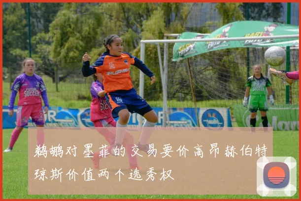 鹈鹕对墨菲的交易要价高昂赫伯特琼斯价值两个选秀权