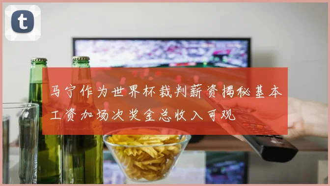 马宁作为世界杯裁判薪资揭秘基本工资加场次奖金总收入可观